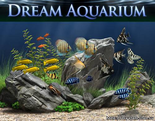 Dream Aquarium Screensaver 1.2415 [2011, RUS, ENG]