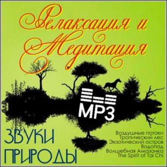 Природа mp3. Звуки природы для релаксации. Звуки природы для медитации. Звуки природы релаксация медитация. Звуки природы альбом.